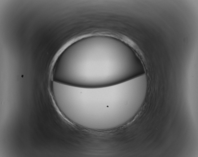 X0000086321520200704131642