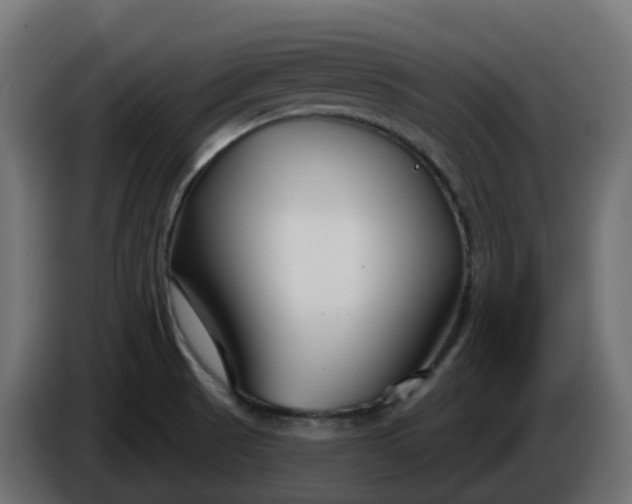 X0000086321521200704131642