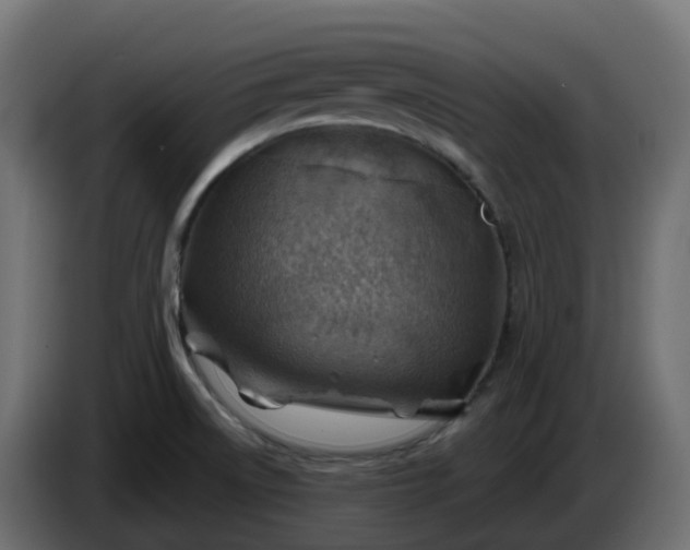 X0000086321522200704131642