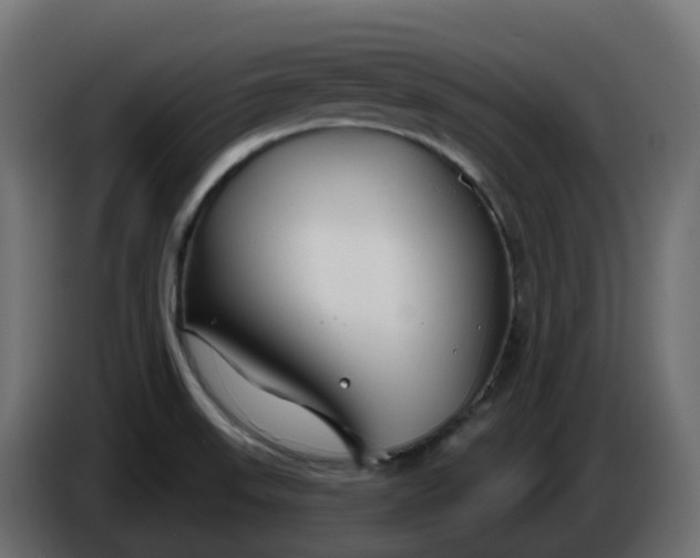 X0000086321523200704131642