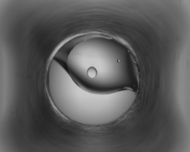 X0000086321524200704131642