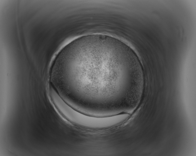 X0000086321525200704131642