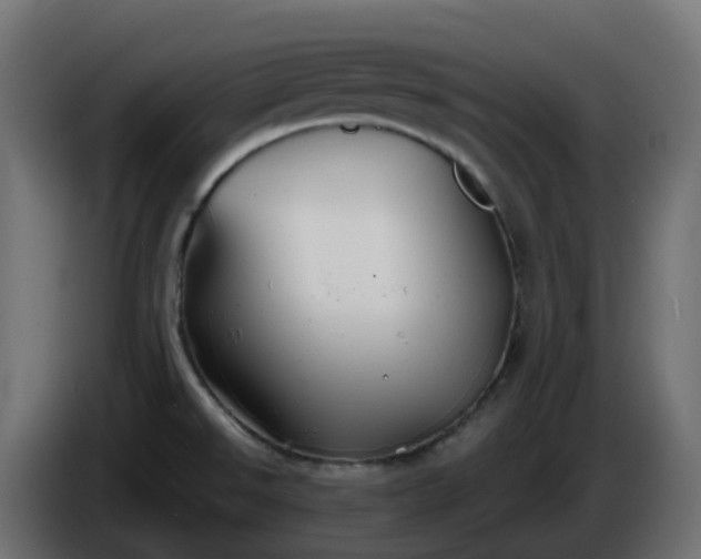 X0000086321526200704131642