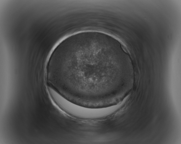 X0000086321527200704131642