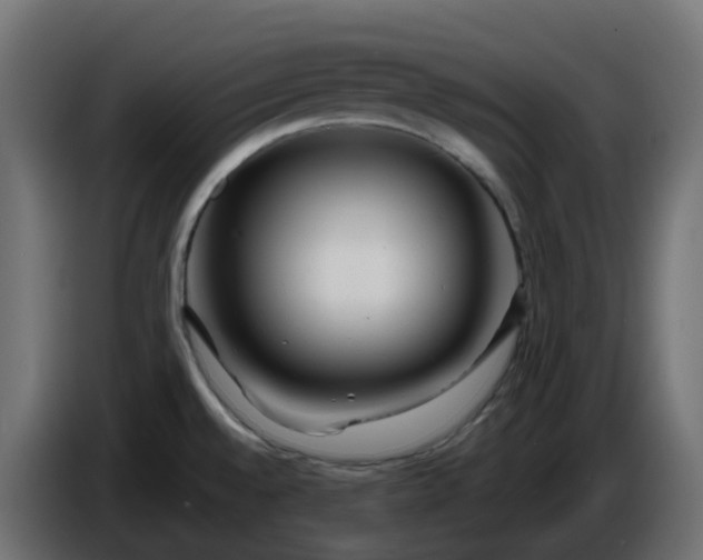 X0000086321528200704131642