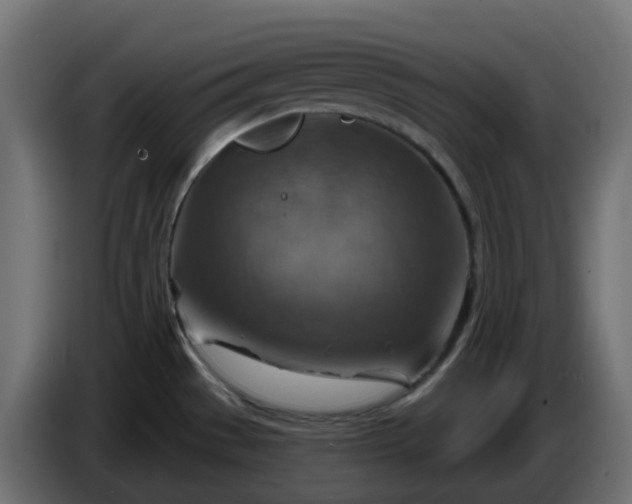 X0000086321529200704131642