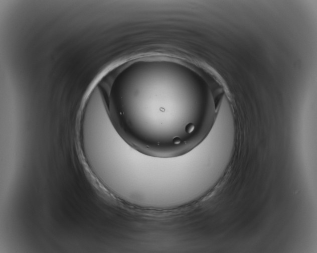 X0000086321530200704131642