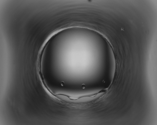 X0000086321531200704131642