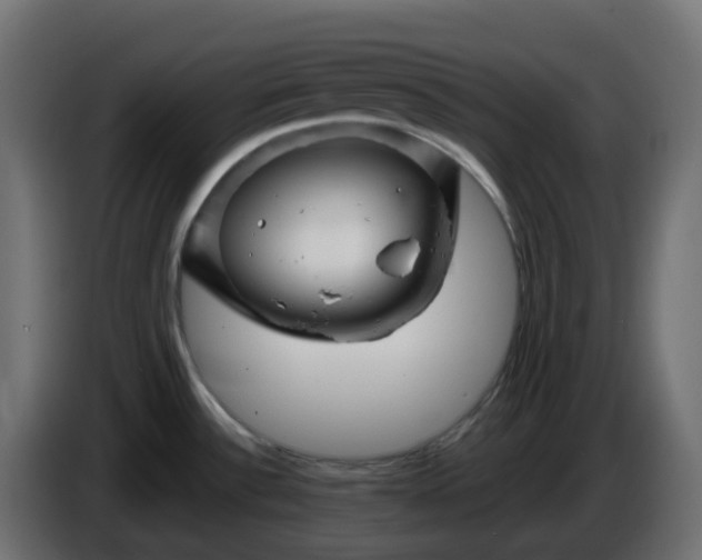 X0000086321532200704131642