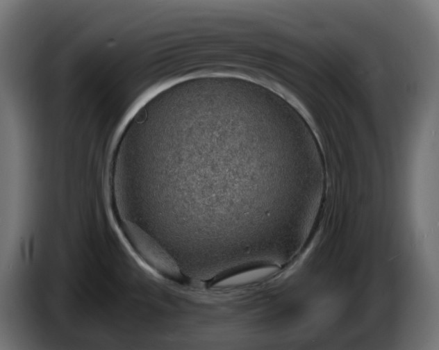 X0000086321533200704131642