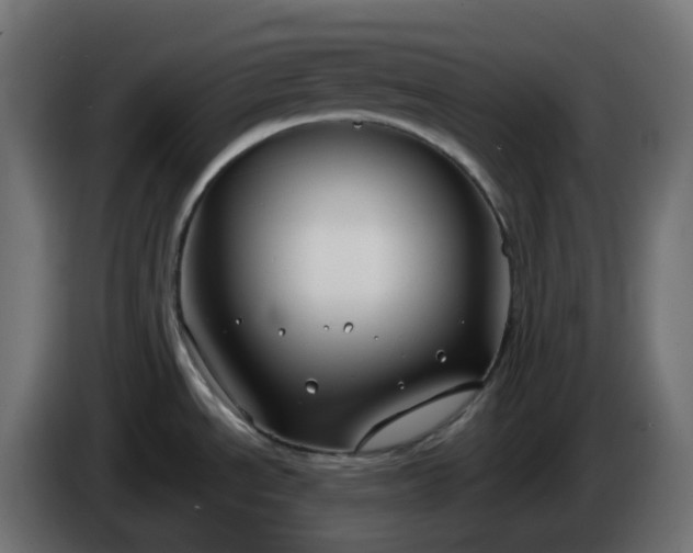 X0000086321534200704131642