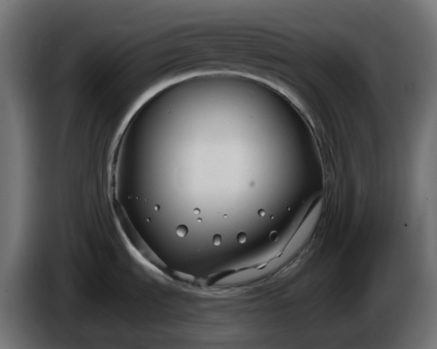 X0000086321535200704131642