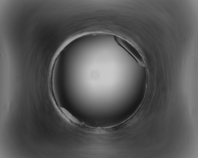 X0000086321536200704131642