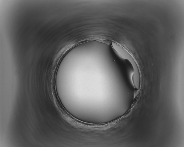 X0000086320001200704202031