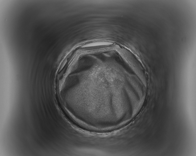X0000086320002200704202031