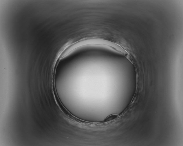 X0000086320003200704202031