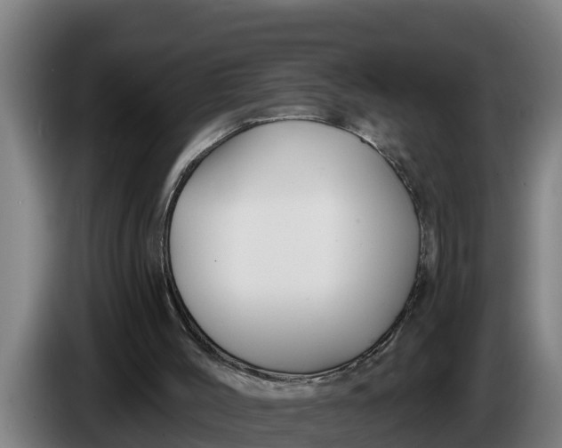 X0000086320004200704202031