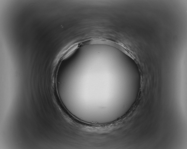 X0000086320005200704202031