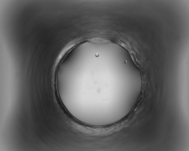 X0000086320006200704202031