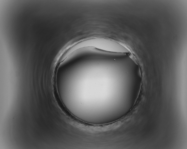 X0000086320007200704202031
