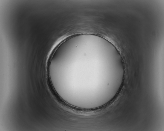 X0000086320008200704202031