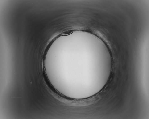 X0000086320011200704202031