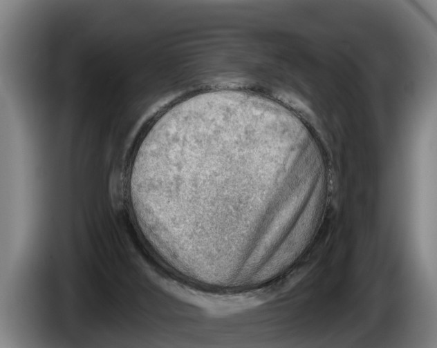 X0000086320012200704202031