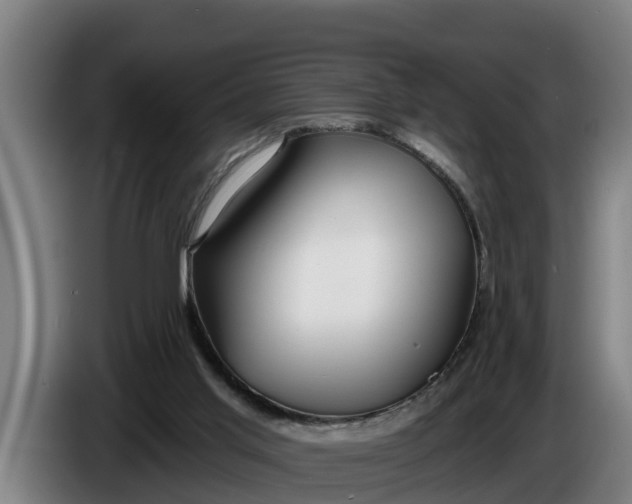 X0000086320013200704202031