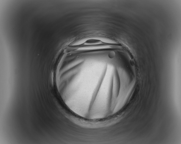 X0000086320014200704202031