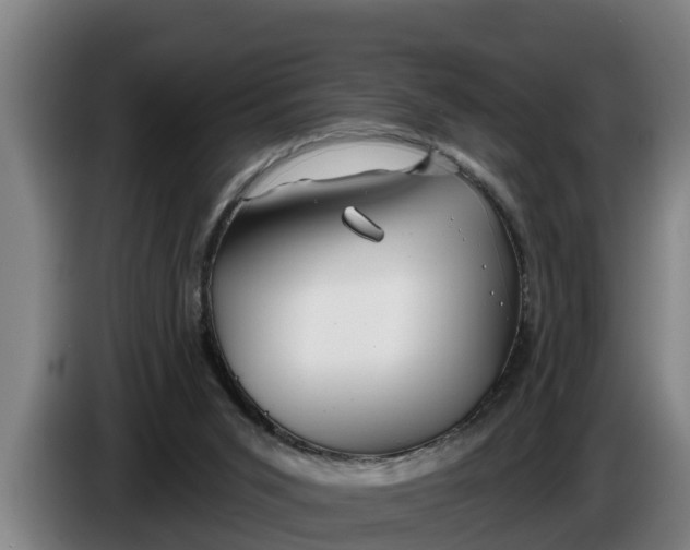 X0000086320015200704202031