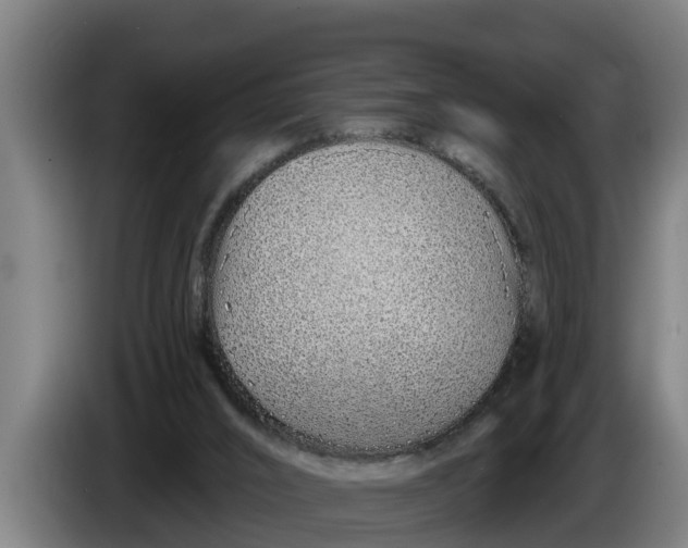 X0000086320016200704202031