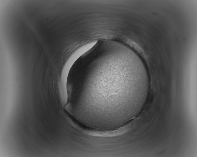 X0000086320017200704202031