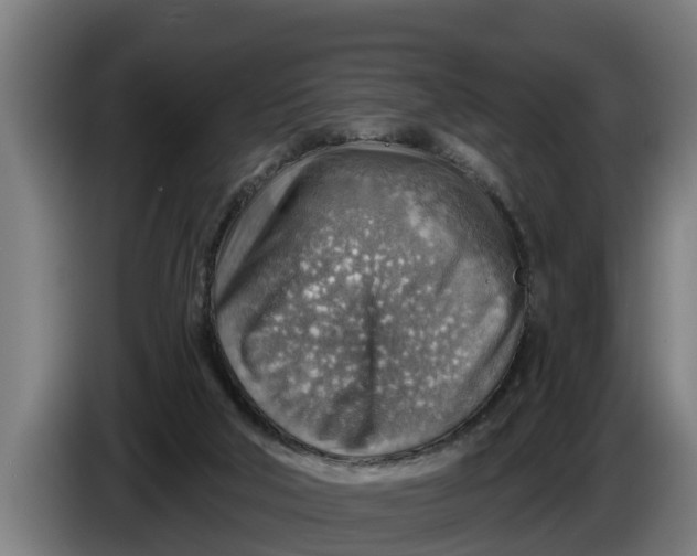 X0000086320018200704202031