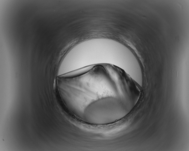 X0000086320019200704202031