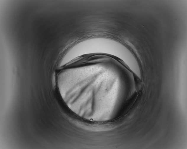 X0000086320020200704202031