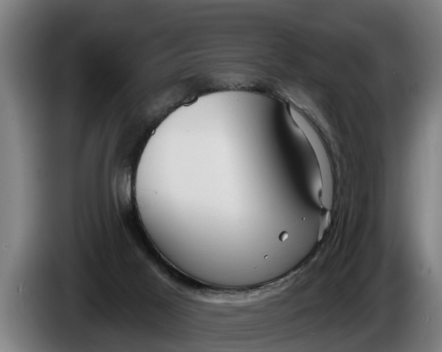X0000086320021200704202031