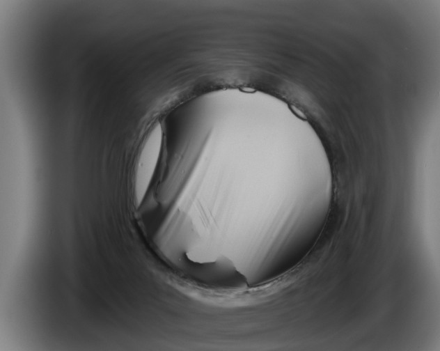 X0000086320023200704202031