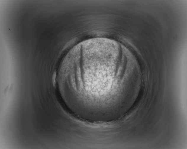 X0000086320024200704202031