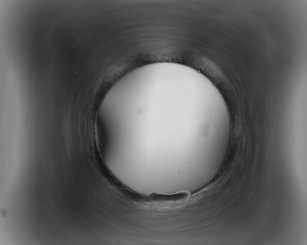 X0000086320025200704202031