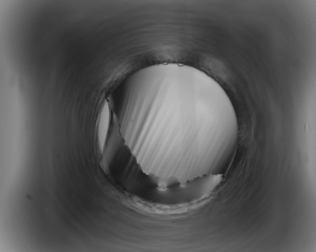 X0000086320027200704202030