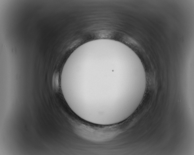 X0000086320028200704202030