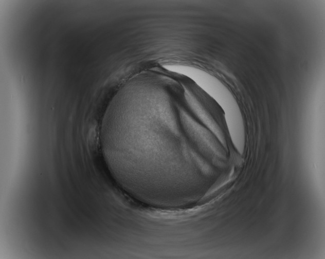 X0000086320029200704202030