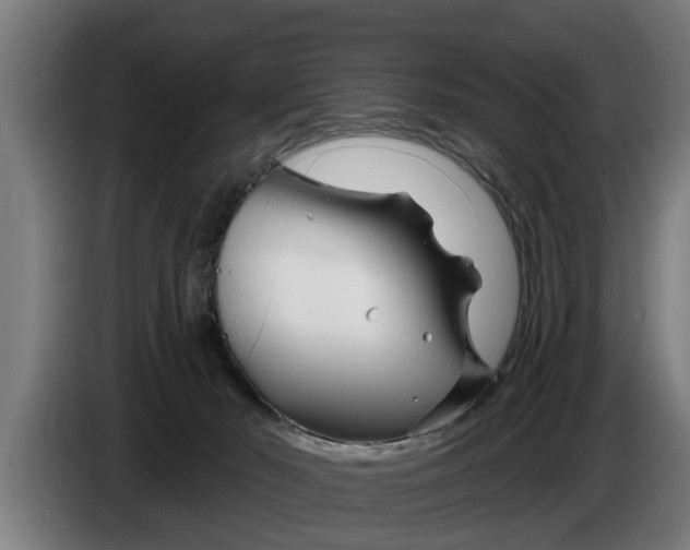X0000086320030200704202030