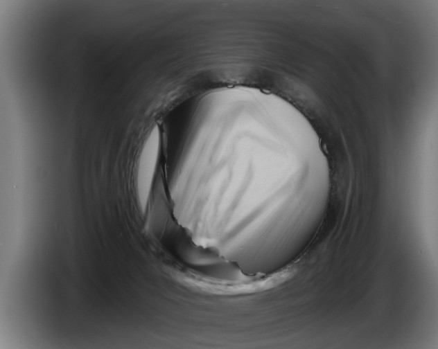 X0000086320031200704202030