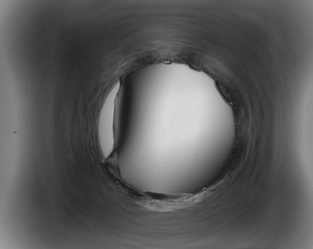 X0000086320033200704202030