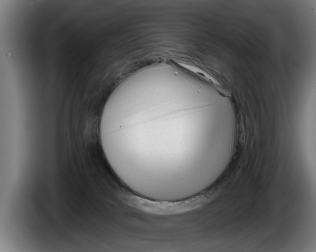X0000086320034200704202030