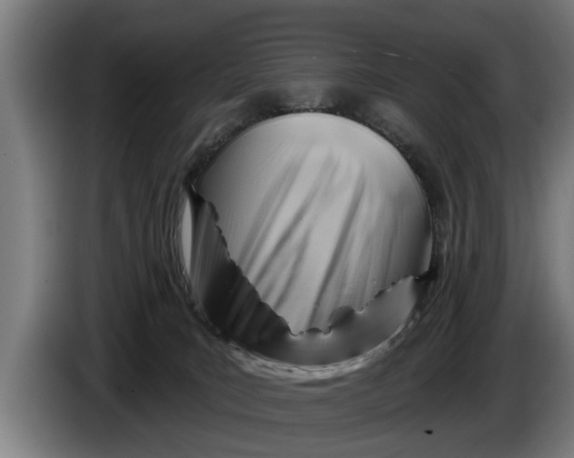 X0000086320035200704202030