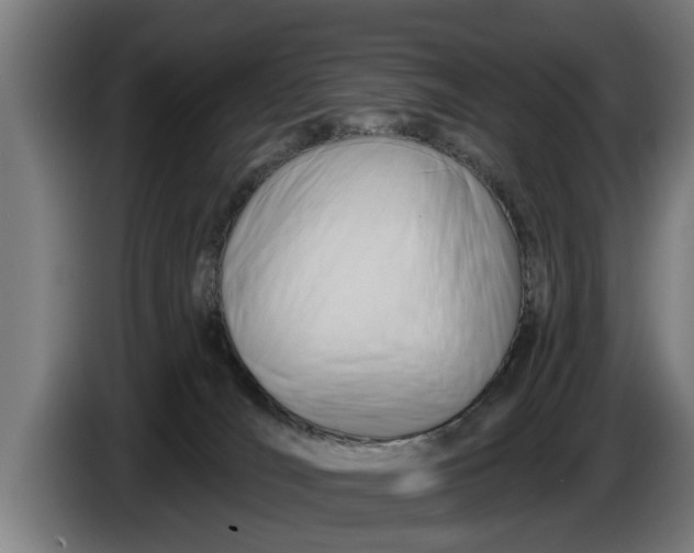 X0000086320036200704202030