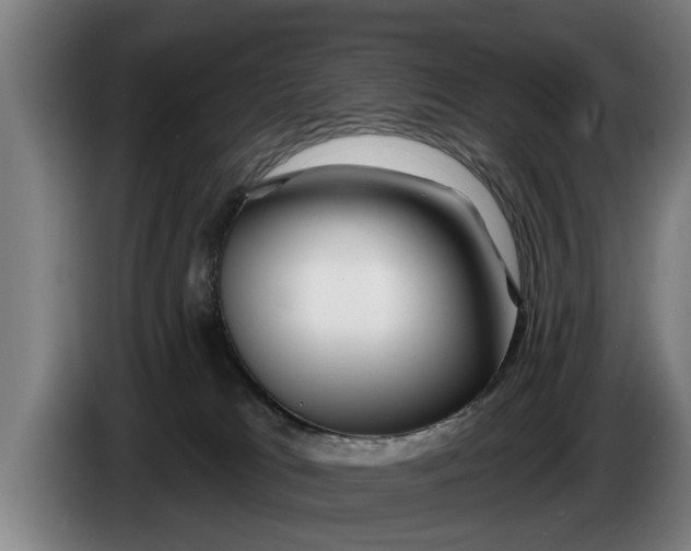 X0000086320037200704202030