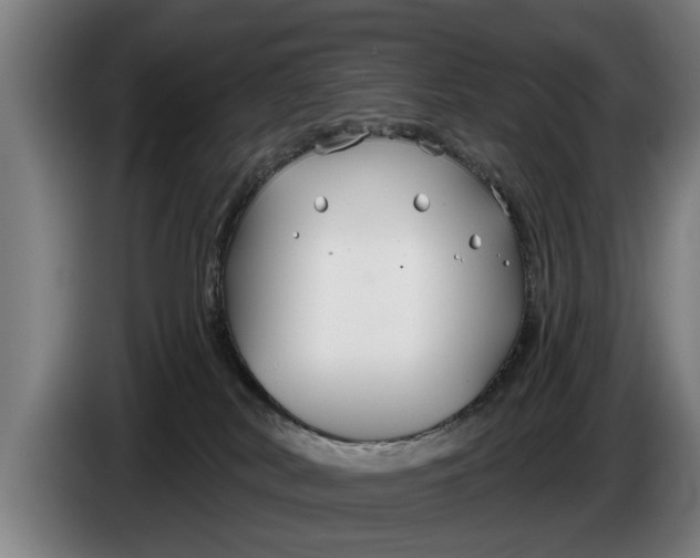 X0000086320038200704202030